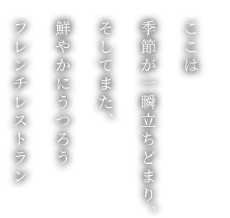 ここは 季節が一瞬立ちどまり